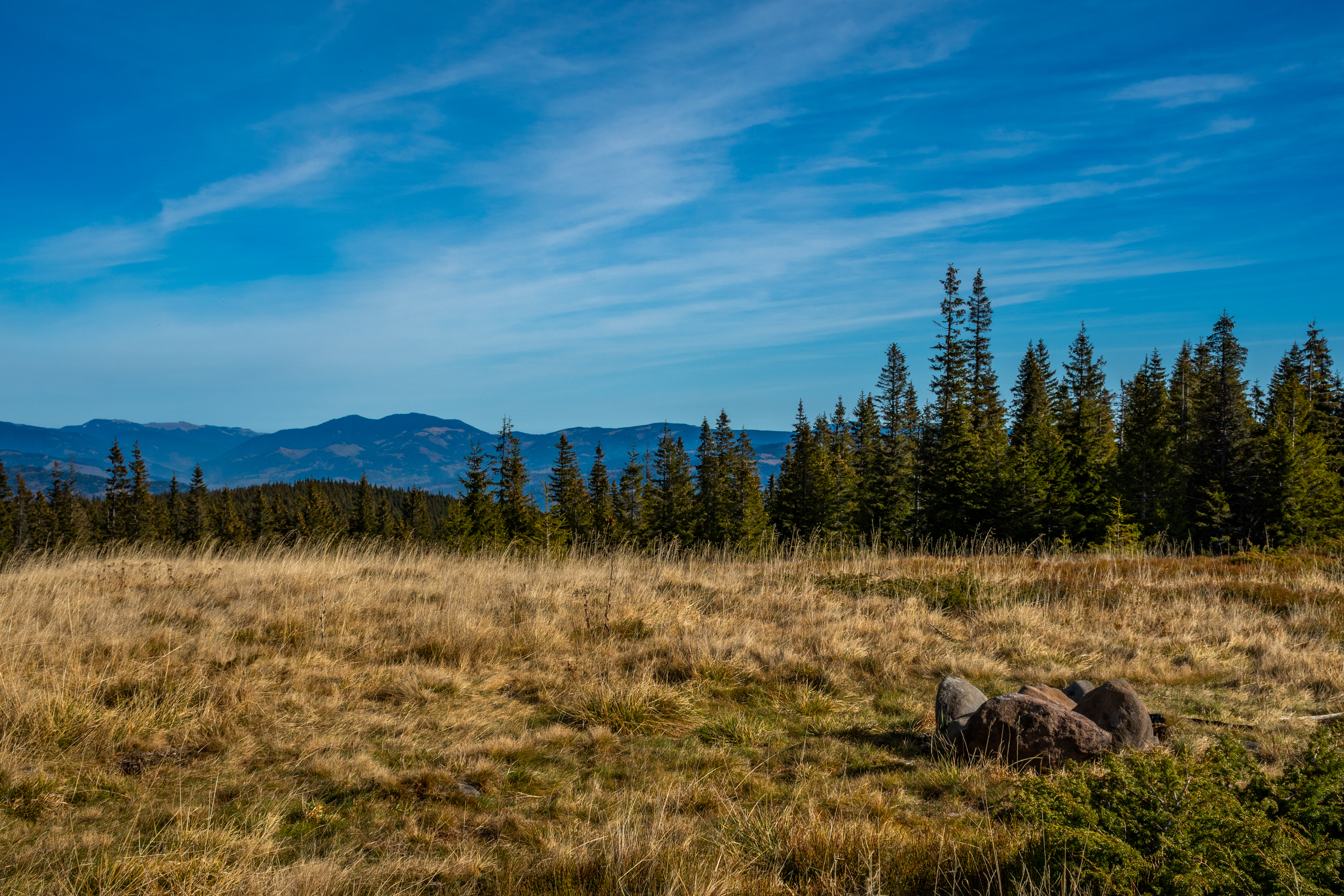 landscapes