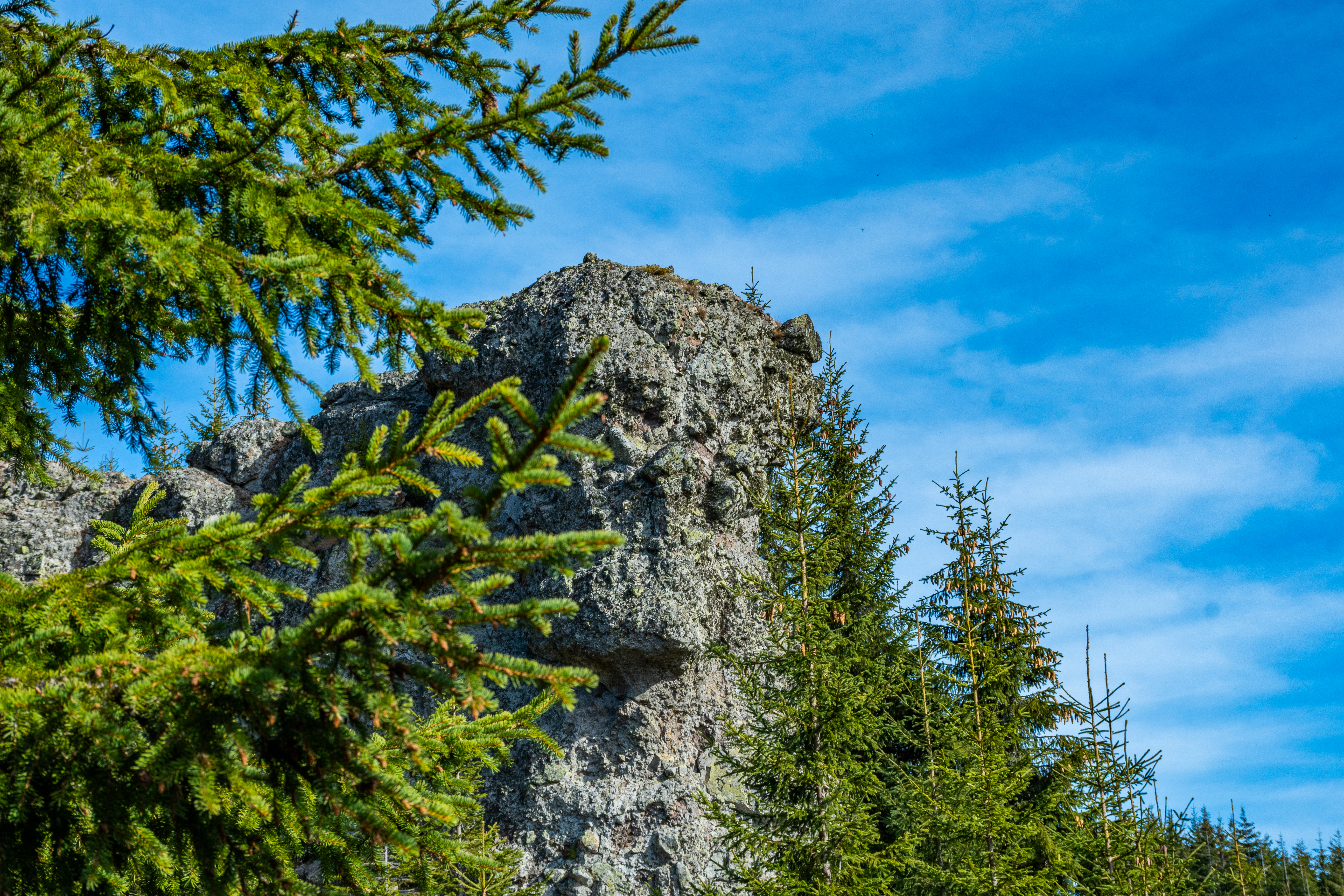 Stone Sentinel