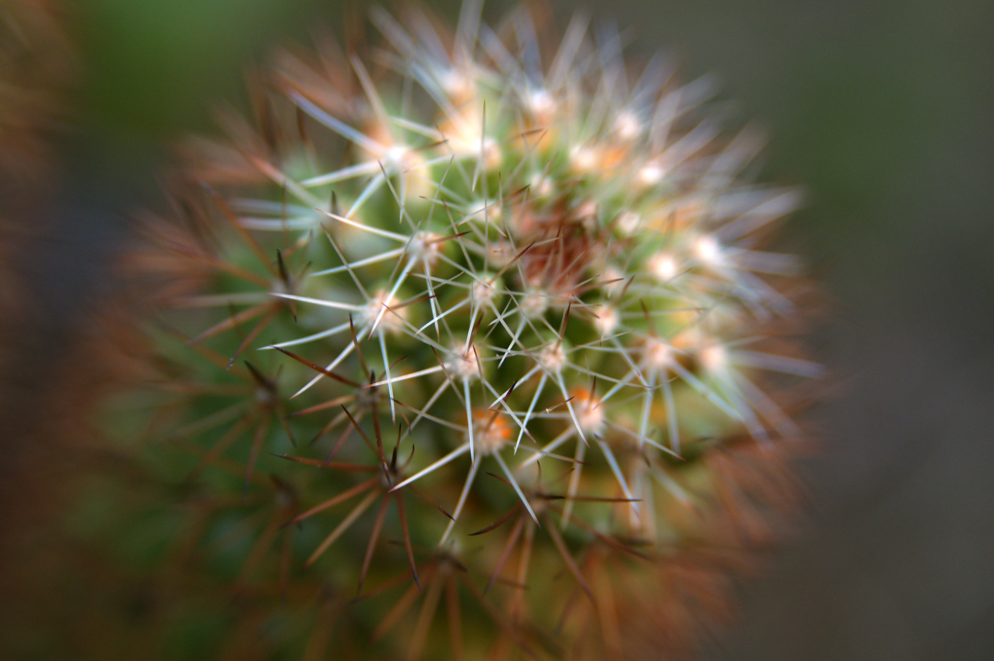 Spiky Geometry