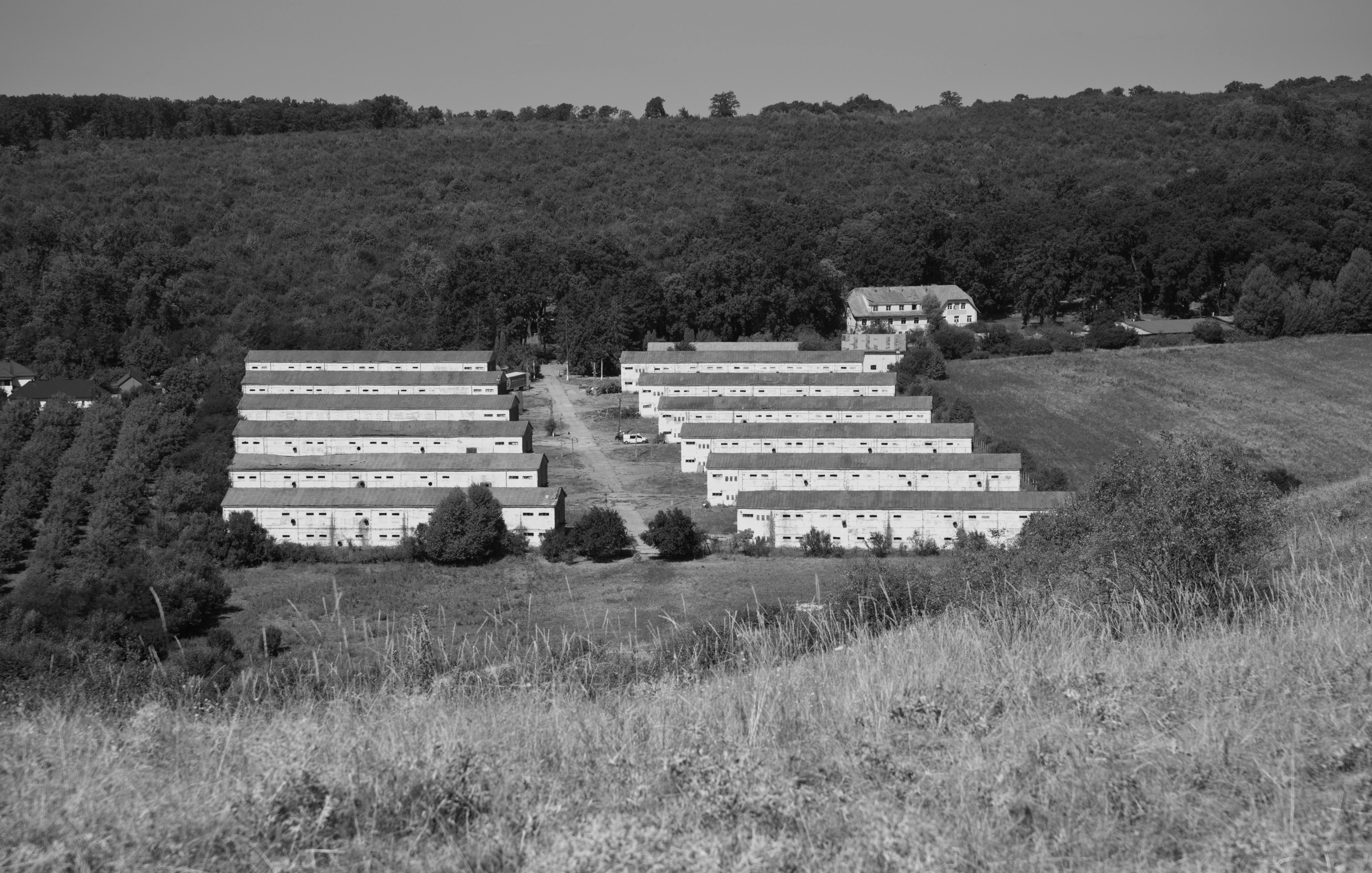 Desolate Compond